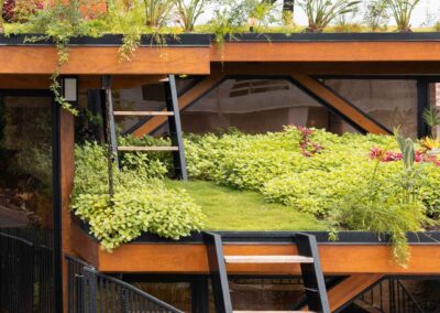 Casa Abacateiro daTerra-construção Baixo Impacto Arquitetura