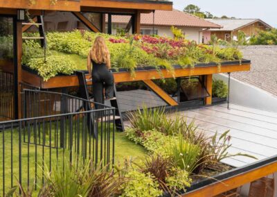 Casa Abacateiro daTerra-construção Baixo Impacto Arquitetura